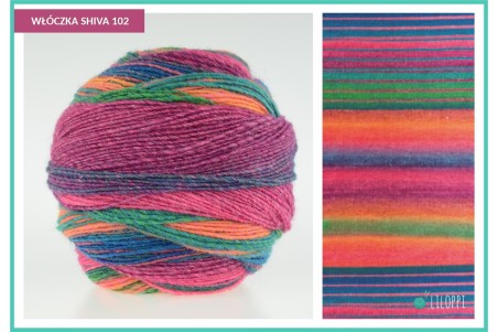Shiva - kolor 102