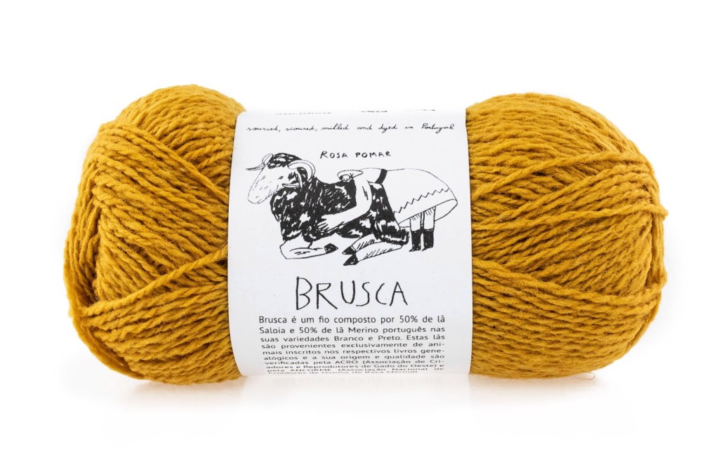 Rosa Pomar BRUSCA - miodowa A580