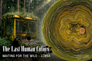 Waiting for the Wild – LC06A