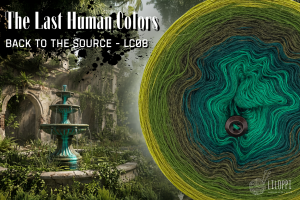 Swing Back to the Source – LC08