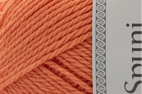 Lopi Spuni 7242 crazy cantaloupe