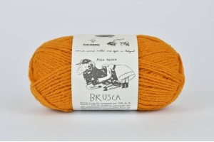 Rosa Pomar BRUSCA - pomarańczowa 5A