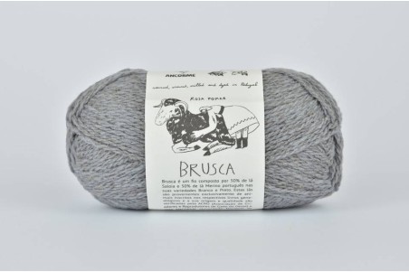 Rosa Pomar BRUSCA - stalowa 15B